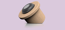 Bamboo Sound System
